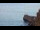 Webcam in Kaanapali, Hawaï, 35.6 km