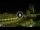 Webcam in Marija Bistrica, 56.5 km