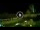 Webcam in Marija Bistrica, 142.4 km entfernt