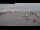 Webcam in Norddeich, 0.1 mi away