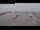 Webcam in Norddeich, 9.1 km entfernt