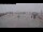 Webcam in Norddeich, 4.5 km
