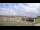 Webcam in Thibodaux, Louisiane, 313.3 km
