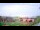 Webcam in Thibodaux, Louisiane, 83.3 km