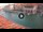 Webcam in Venice, 0.2 mi away