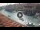 Webcam in Venedig, 9.8 km entfernt