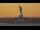 Webcam in New York City, New York, 3.4 mi away