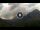 Webcam in Courmayeur, 6.8 km