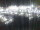 Webcam in Isla del Moral, 23.6 mi away