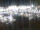 Webcam in Isla del Moral, 70.7 km