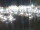 Webcam in Isla del Moral, 3.9 km
