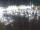 Webcam in Isla del Moral, 7.6 km