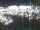 Webcam in Isla del Moral, 27 mi away