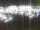 Webcam in Isla del Moral, 10.9 mi away