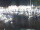 Webcam in Isla del Moral, 28.3 km