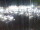 Webcam in Isla del Moral, 22.7 mi away