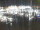 Webcam in Isla del Moral, 7.6 km