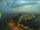 Webcam in Warnemünde, 10.1 km entfernt