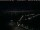 Webcam in Warnemünde, 0.4 mi away