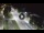 Webcam in Porto San Giorgio, 6.8 mi away