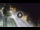 Webcam in Porto San Giorgio, 8.7 mi away