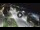 Webcam in Porto San Giorgio, 50 km