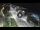 Webcam in Porto San Giorgio, 20.6 mi away