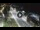 Webcam in Porto San Giorgio, 2.2 mi away