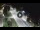 Webcam in Porto San Giorgio, 12.1 mi away