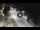 Webcam in Porto San Giorgio, 12.1 mi away