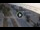 Webcam in Porto San Giorgio, 15.1 mi away