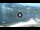 Webcam in Torbole (Gardasee), 1.7 km entfernt