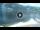 Webcam in Lago di Garda (Torbole), 1.7 km
