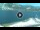 Webcam in Torbole (Gardasee), 0.4 km entfernt