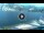 Webcam in Torbole (Gardasee), 0.4 km entfernt