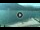 Webcam in Lago di Garda (Torbole), 0.4 km