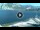 Webcam in Torbole (Lake Garda), 0.1 mi away