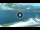Webcam in Lago di Garda (Torbole), 0.2 km