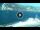 Webcam in Torbole (Gardasee), 0.2 km entfernt