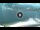 Webcam in Torbole (Lake Garda), 0.9 mi away