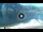 Webcam in Torbole (Gardasee), 1.7 km entfernt
