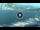 Webcam in Lago di Garda (Torbole), 0.2 km