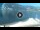 Webcam in Torbole (Lac de Garde), 0.2 km