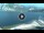 Webcam in Torbole (Lake Garda), 0.9 mi away