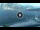 Webcam in Torbole (Lake Garda), 0.9 mi away