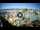 Webcam in Riccione, 0.8 km