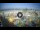 Webcam in Riccione, 0.2 mi away