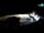 Webcam in Novi Vinodolski, 0.2 mi away