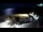 Webcam in Novi Vinodolski, 36.5 km entfernt