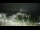Webcam in Morganton, North Carolina, 157.6 km